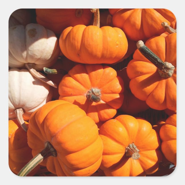 Sticker Carré Citrouille halloween Jack-o'-lantern orange citrou (Devant)