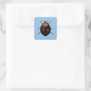 Sticker Carré Coccinelle Chanceuse