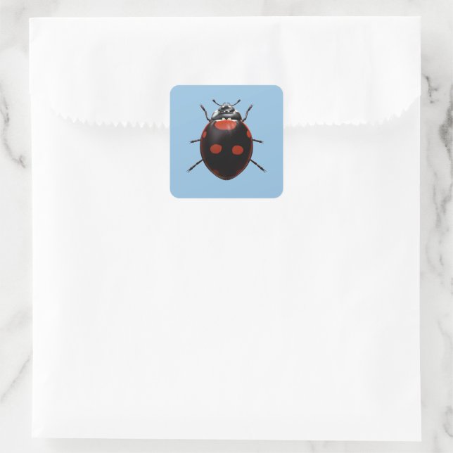Sticker Carré Coccinelle Chanceuse (Sac)