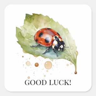 Sticker Carré Coccinelle chanceuse sur une feuille