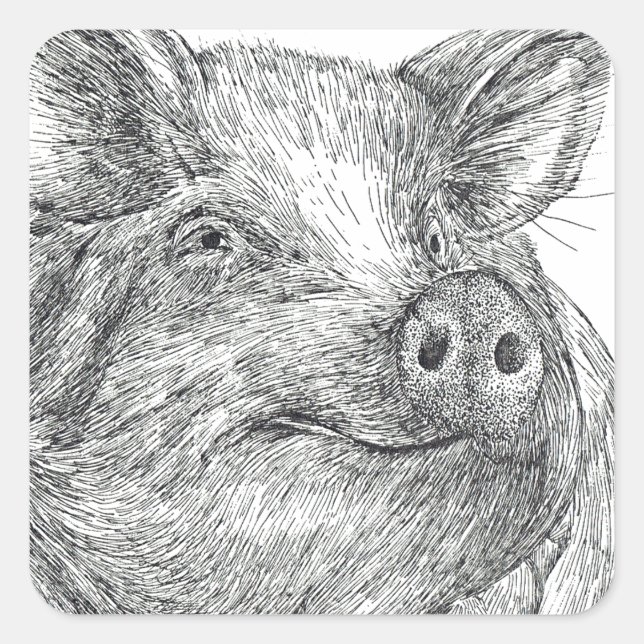 Sticker Carré Cochon (Devant)