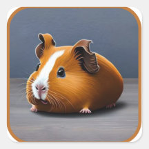 Cochon d'Inde Mignon et Doux #12
