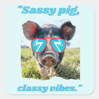 Sticker Carré Cochon Sassy Vibes Classiques - Citation de Cocho