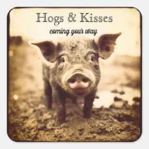 Sticker Carré Cochons & Bisous Douce Porcelet de Ferme