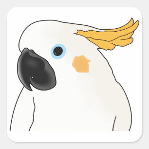 Sticker Carré Cockatoo Bust