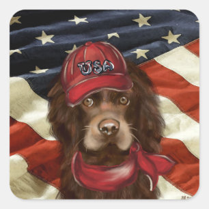 Sticker Carré Cocker Spaniel Américain
