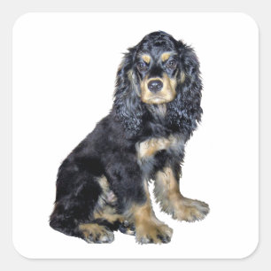 Sticker Carré Cocker Spaniel (noir et bronzé)