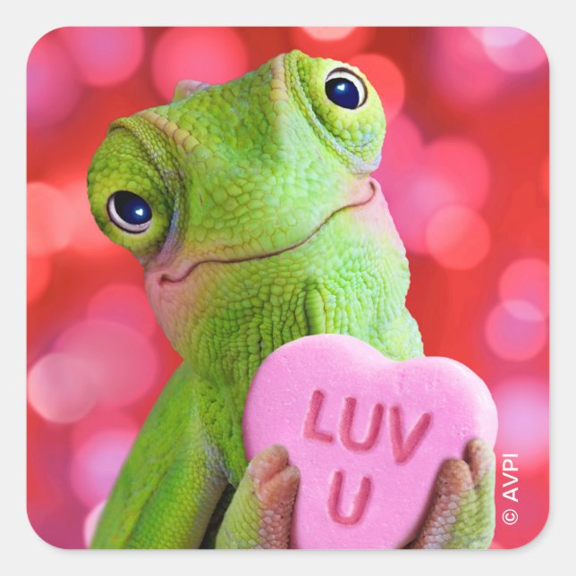 Sticker Carré Cœur de Caméléon (Amour toi) (Devant)