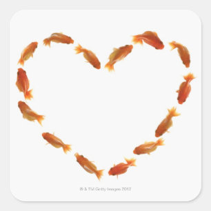 Sticker Carré Coeur fait avec des poissons rouges