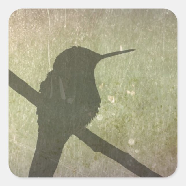 Sticker Carré Colibri (Devant)