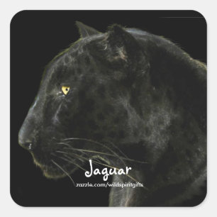 Sticker Carré Collecteur South American Black Jaguar Wildlife