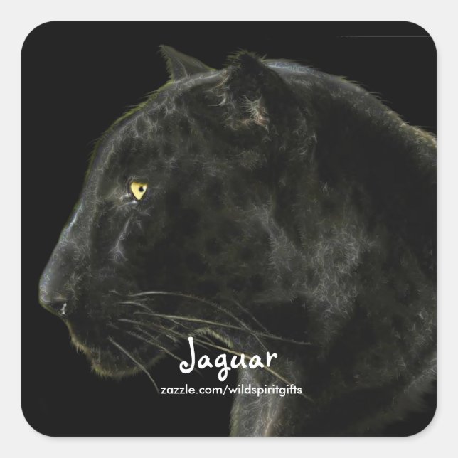 Sticker Carré Collecteur South American Black Jaguar Wildlife (Devant)