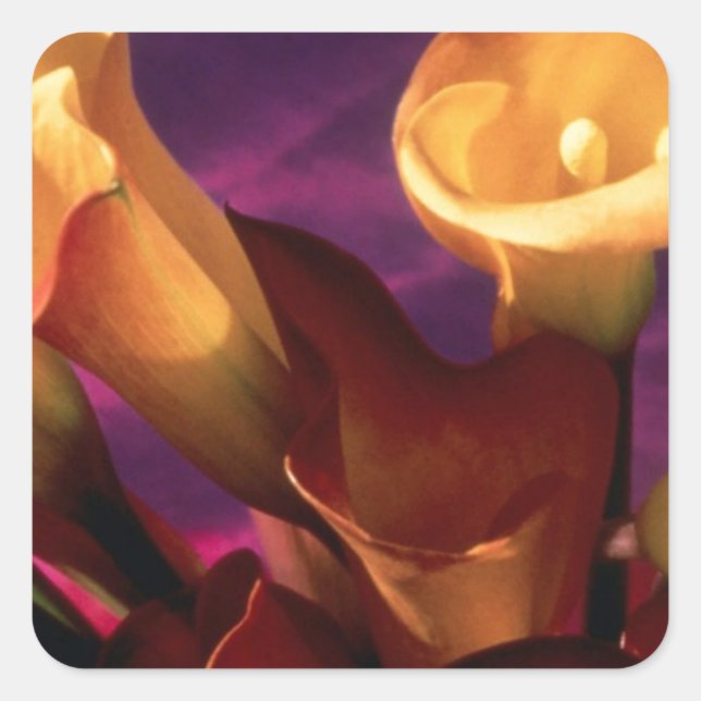 Sticker Carré Collection Calla Lilies (Devant)