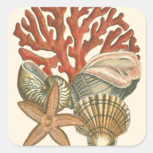 Sticker Carré Collection de vie marine