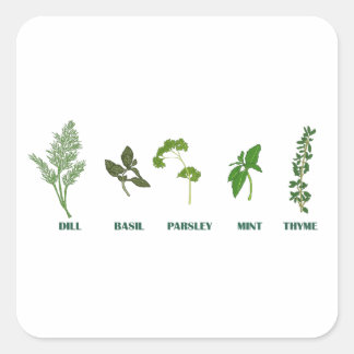 Sticker Carré Collection Herbes
