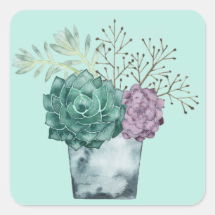 Sticker Carré Collection plante Happy   Succulents