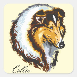 Sticker Carré colley