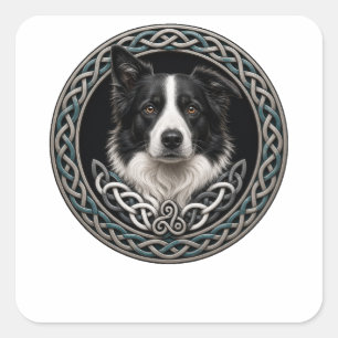 Sticker Carré Collie de Border Nœud Celtique