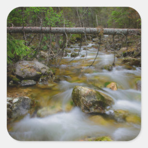 Sticker Carré Collier de crique de la forêt rocheuse