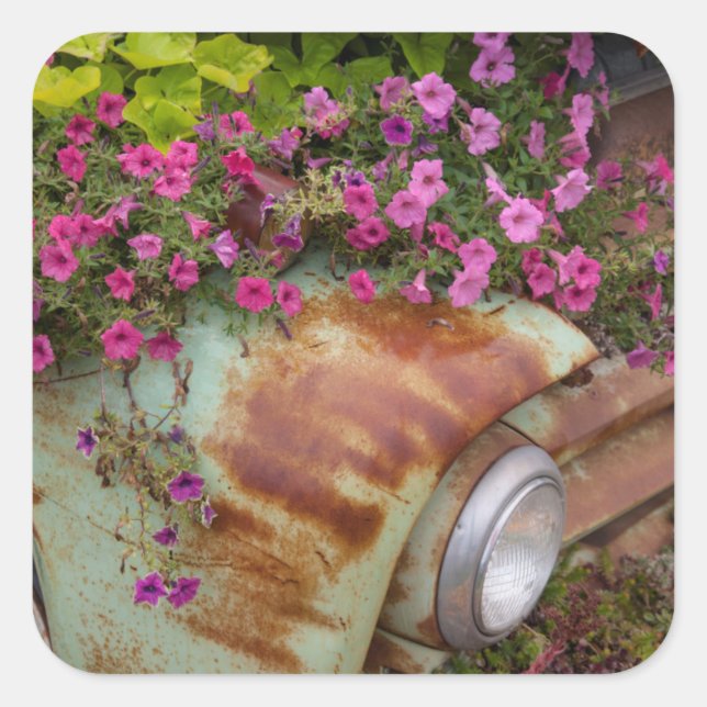 Sticker Carré Colombia (Devant)