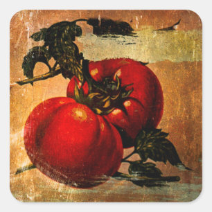 Sticker Carré Colonne vintage de tomates rouges