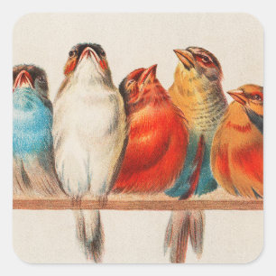 Sticker Carré Colorful vintage illustration of five little birds