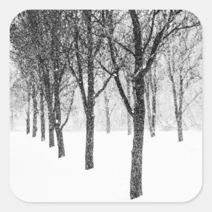 Sticker Carré comme je suis du côté des arbres