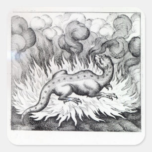 Sticker Carré Comme vies de salamandre en feu