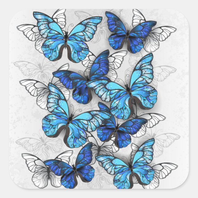 Sticker Carré Composition des White and Blue Butterflies (Devant)