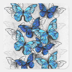 Sticker Carré Composition des White and Blue Butterflies