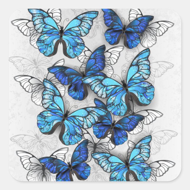 Sticker Carré Composition des White and Blue Butterflies (Devant)