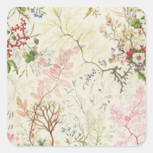 Sticker Carré Conception d'algues pour le matériel de soie (p/c