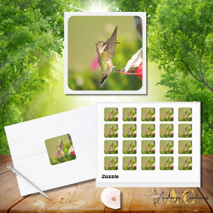 Sticker Carré Conception de colibri #108A0604