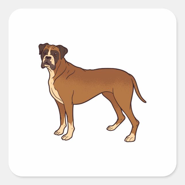 Sticker Carré Conception de race de chien Boxer Brun Nice (Devant)