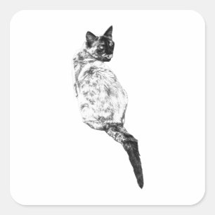 Sticker Carré Conception de toilettage de chat serein