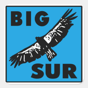 Sticker Carré Condor bleu
