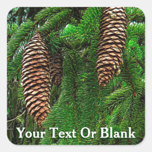 Sticker Carré Cônes Et Aiguilles