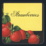 Sticker Carré CONSERVATION DE Fruits DE PÂTES, Canne<br><div class="desc">Développement vintage coloré pour confiture de fruits rouges,  confiture,  étiquettes de pot.</div>