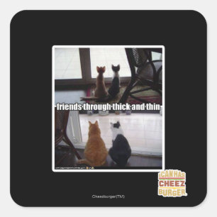 Sticker Carré Contre vent et marée