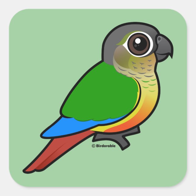Sticker Carré Conure à côté jaune Birdorable (Devant)
