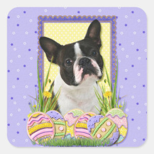 Sticker Carré Cookies d'oeufs de Pâques - Boston Terrier