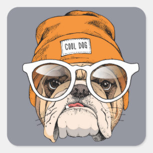 Sticker Carré Cool Hipster Bulldog