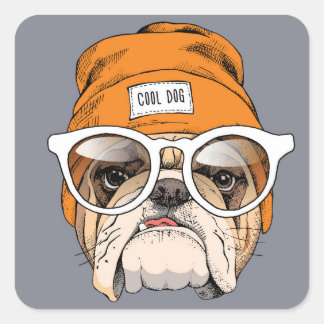 Sticker Carré Cool Hipster Bulldog