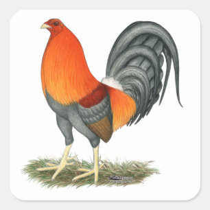 Sticker Carré Coq bleu rouge Gamecock