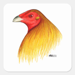 Sticker Carré Coq de Combat Ébarbé