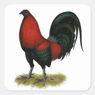 Sticker Carré Coq Rouge Noir BB Américain
