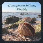 Sticker Carré Coquillage de plage de l'île de Honeymoon en Flori<br><div class="desc">Lune de miel,  Floride. autocollant de coquillage de plage</div>