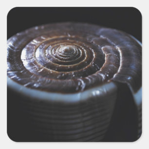 Sticker Carré Coquille de cône