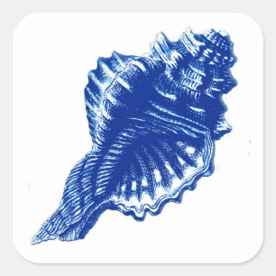 Sticker Carré Coquille de conque, bleu d'Indigo et blanc