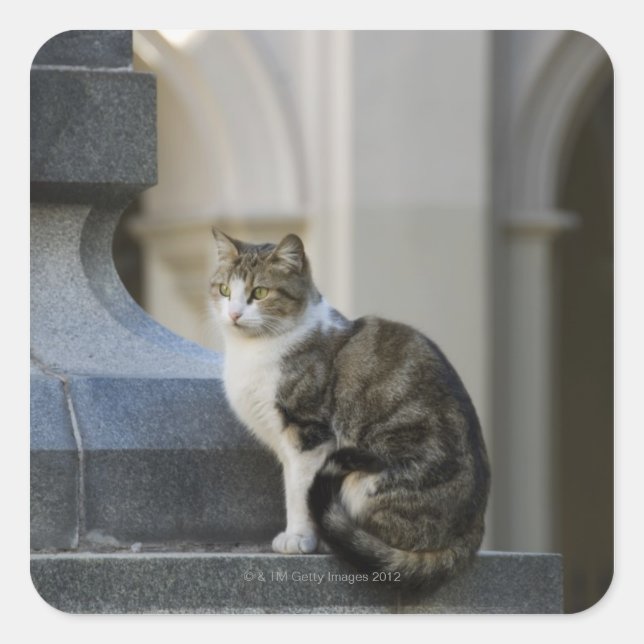 Sticker Carré cordoba, argentine (Devant)